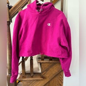 Small maroon cropped Champion hoodie